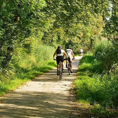 Les De Léon